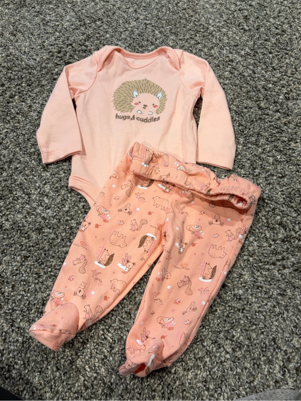 Hedgehog “Hugs & Cuddles” Girls Matching set | 6 months